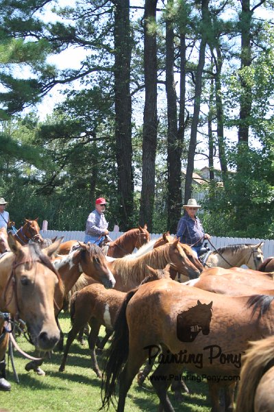 ponypenning_072711_0250.JPG