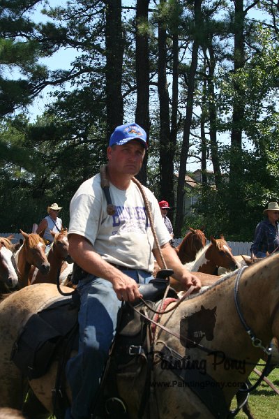 ponypenning_072711_0251.JPG