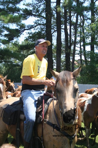 ponypenning_072711_0252.JPG