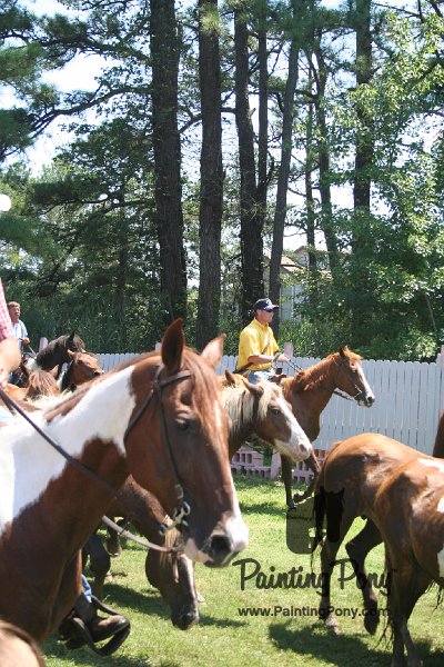 ponypenning_072711_0254.JPG
