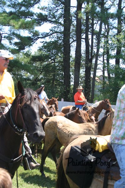 ponypenning_072711_0261.JPG