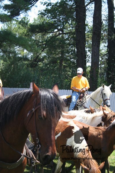 ponypenning_072711_0265.JPG