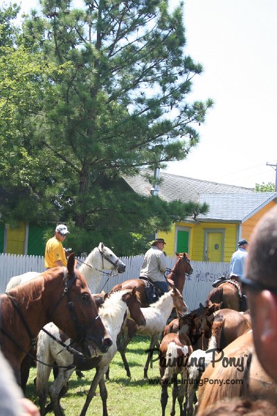 ponypenning_072711_0272.JPG