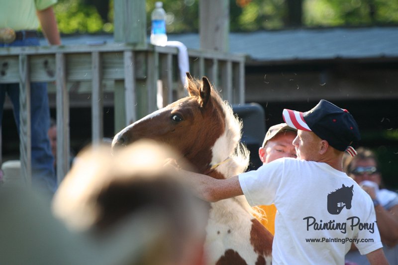 ponypenning_072811_0298.JPG
