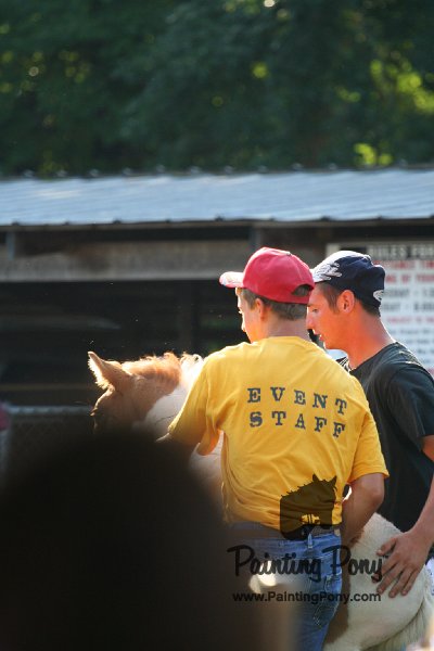 ponypenning_072811_0301.JPG
