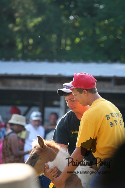 ponypenning_072811_0305.JPG