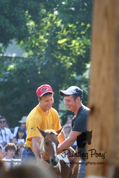 ponypenning_072811_0306.JPG