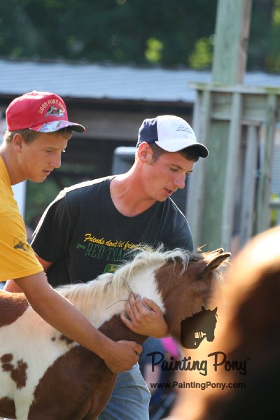 ponypenning_072811_0308.JPG