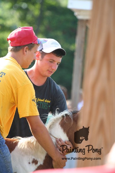 ponypenning_072811_0309.JPG
