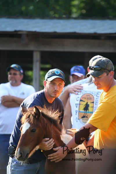 ponypenning_072811_0310.JPG