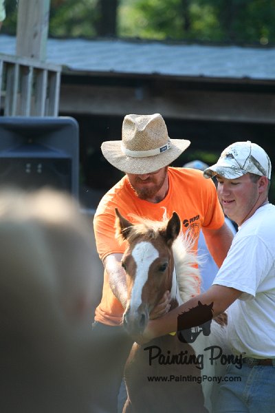 ponypenning_072811_0312.JPG