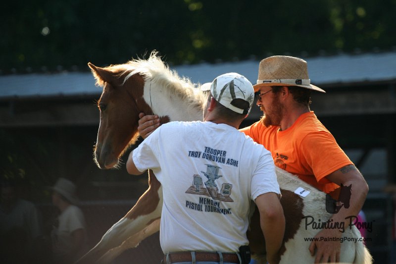 ponypenning_072811_0314.JPG