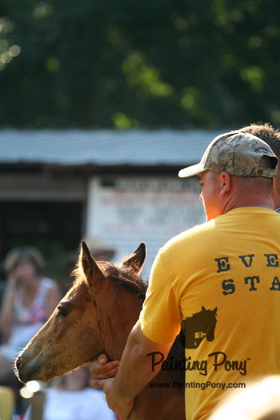 ponypenning_072811_0320.JPG