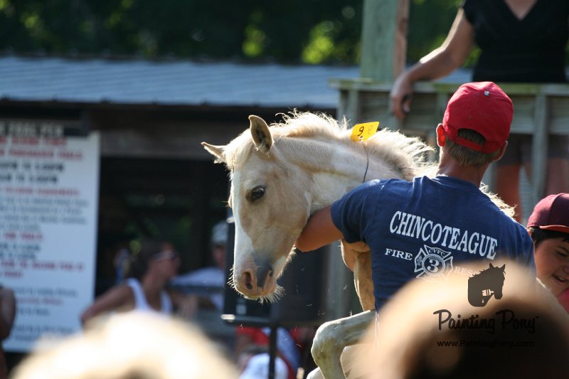ponypenning_072811_0325.JPG