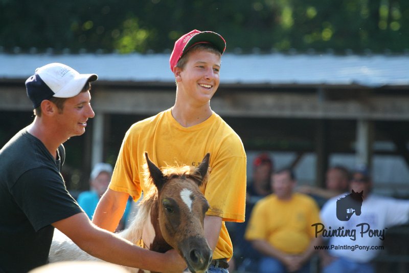 ponypenning_072811_0335.JPG