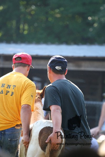 ponypenning_072811_0339.JPG