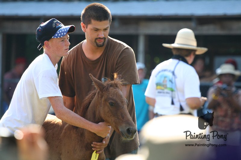 ponypenning_072811_0341.JPG