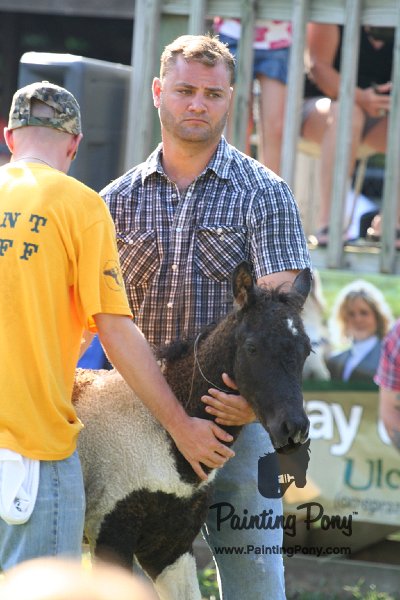 ponypenning_072811_0342.JPG
