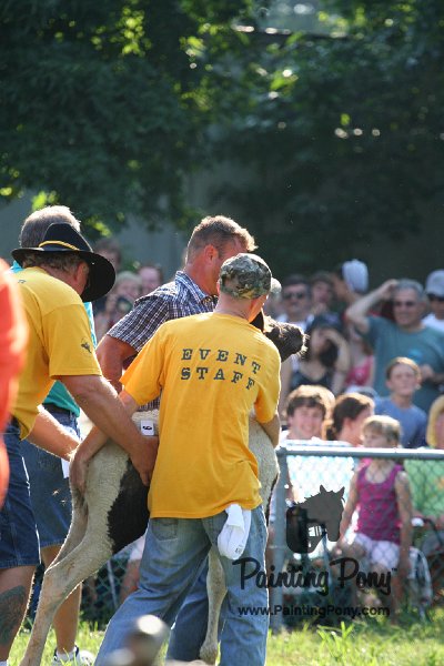 ponypenning_072811_0350.JPG