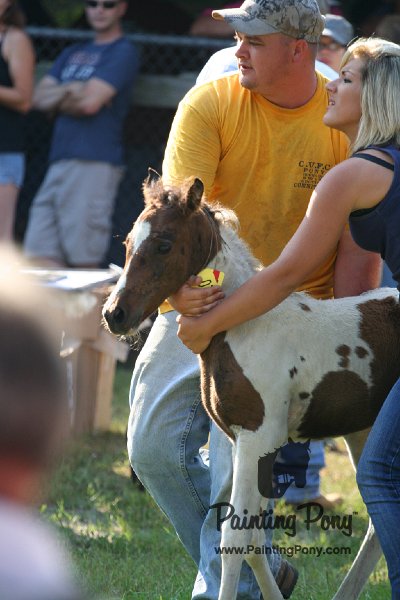 ponypenning_072811_0354.JPG