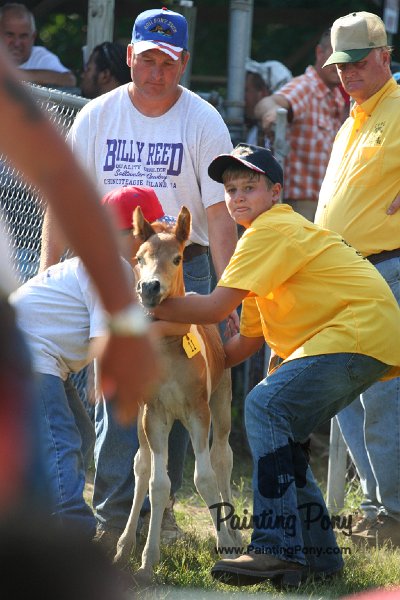ponypenning_072811_0362.JPG