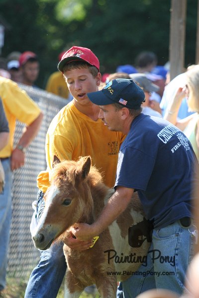 ponypenning_072811_0373.JPG