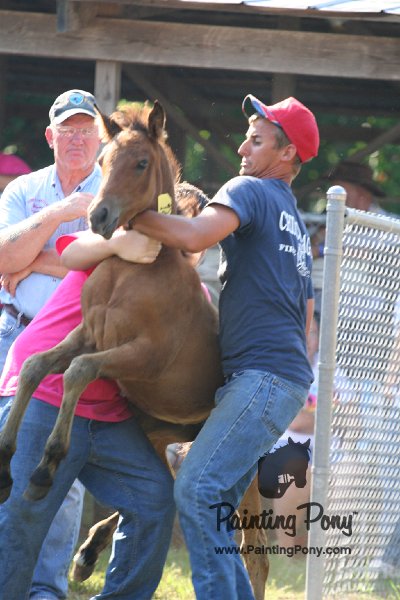 ponypenning_072811_0383.JPG