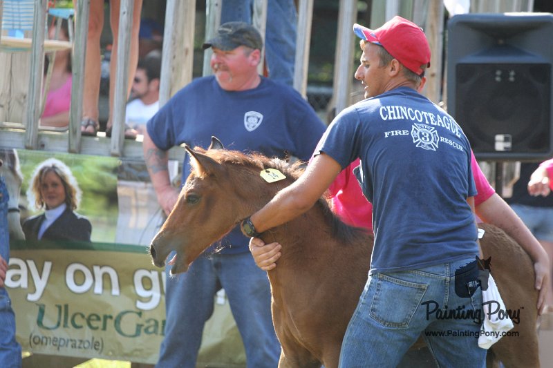 ponypenning_072811_0387.JPG