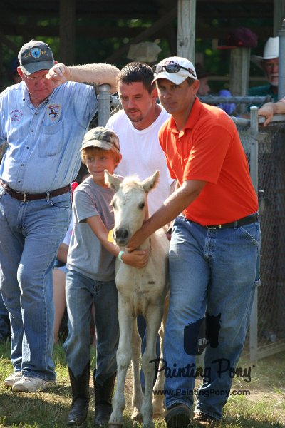 ponypenning_072811_0392.JPG