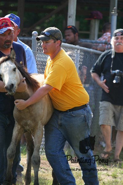 ponypenning_072811_0403.JPG