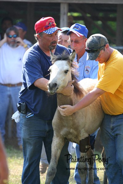 ponypenning_072811_0404.JPG