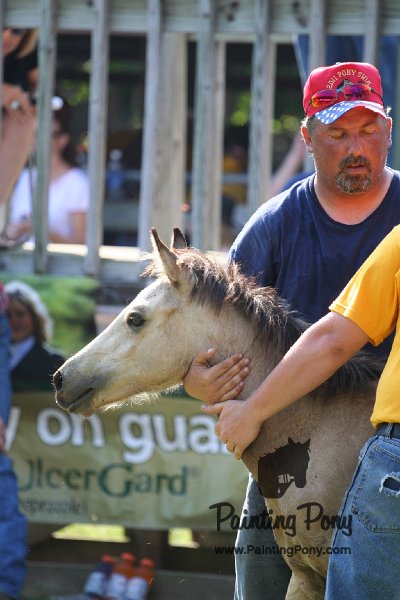 ponypenning_072811_0405.JPG