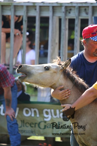 ponypenning_072811_0406.JPG