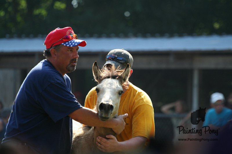 ponypenning_072811_0408.JPG