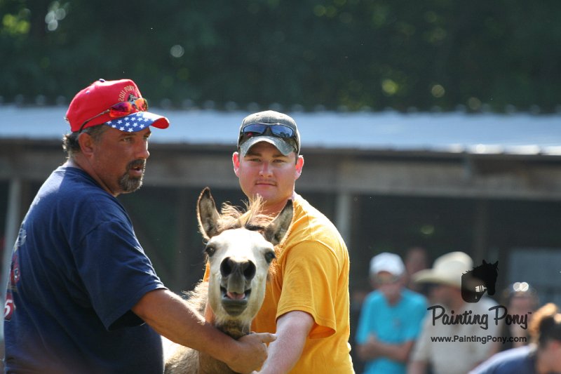 ponypenning_072811_0410.JPG