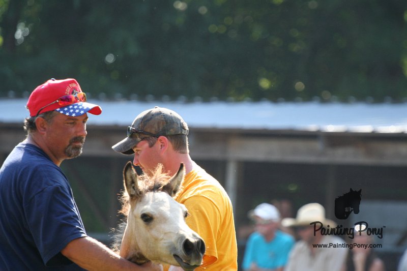 ponypenning_072811_0411.JPG
