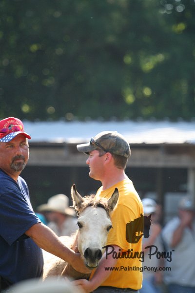 ponypenning_072811_0413.JPG