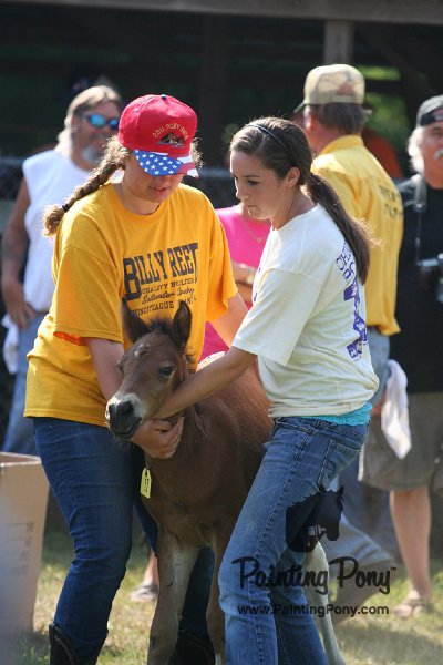 ponypenning_072811_0415.JPG