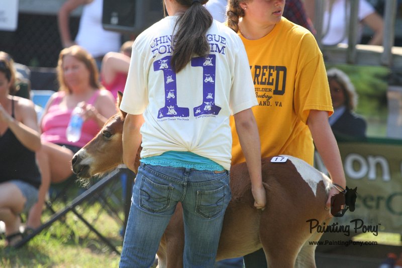 ponypenning_072811_0416.JPG