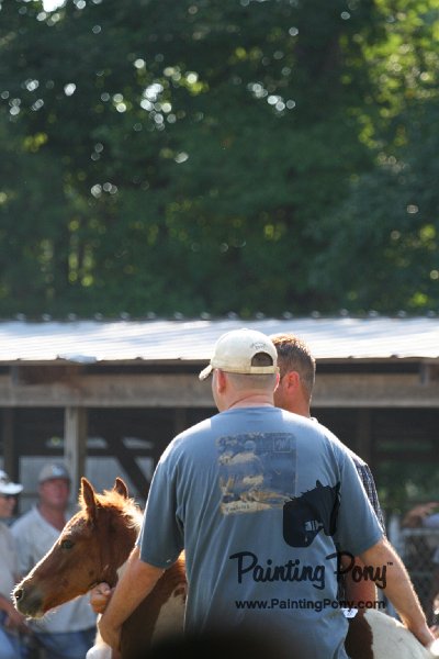 ponypenning_072811_0422.JPG