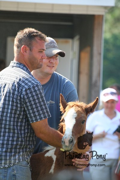 ponypenning_072811_0425.JPG