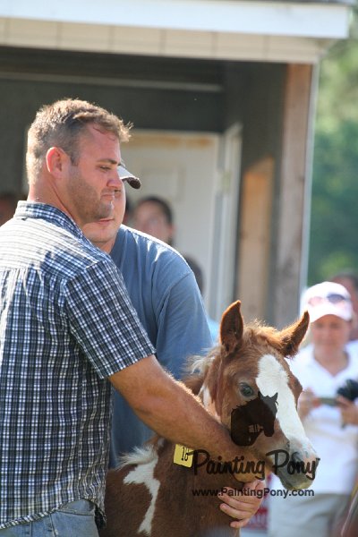 ponypenning_072811_0426.JPG