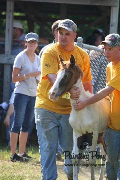 ponypenning_072811_0428.JPG
