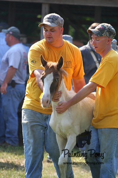 ponypenning_072811_0429.JPG