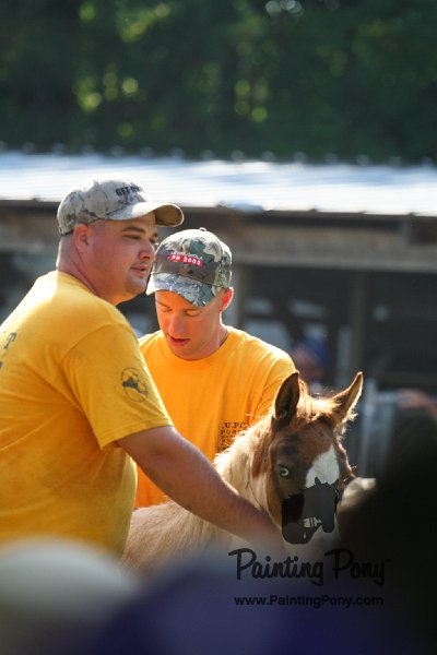 ponypenning_072811_0430.JPG