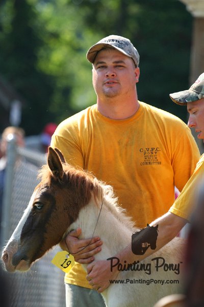 ponypenning_072811_0432.JPG