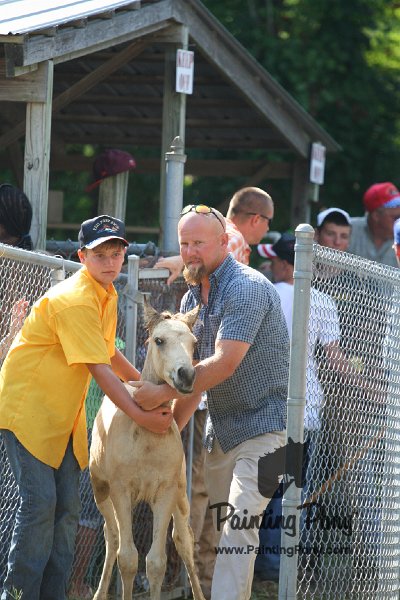 ponypenning_072811_0438.JPG