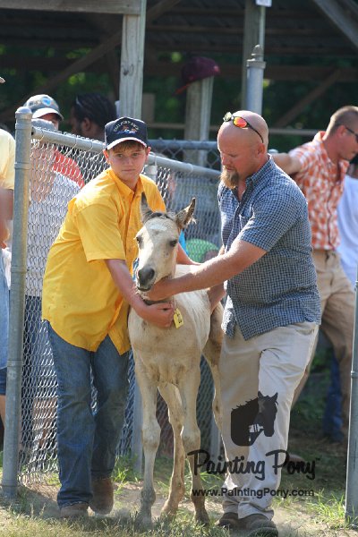 ponypenning_072811_0439.JPG