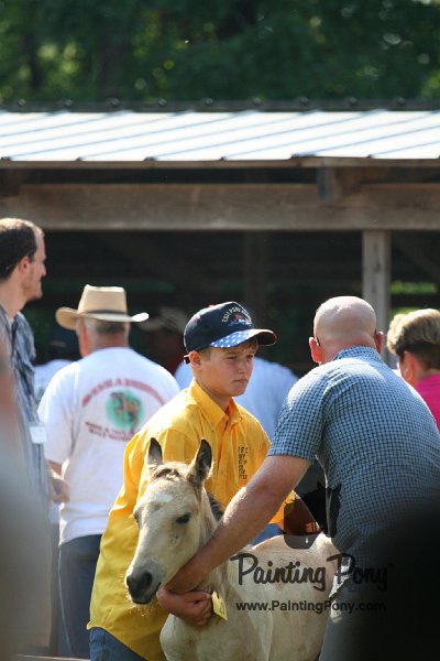 ponypenning_072811_0442.JPG