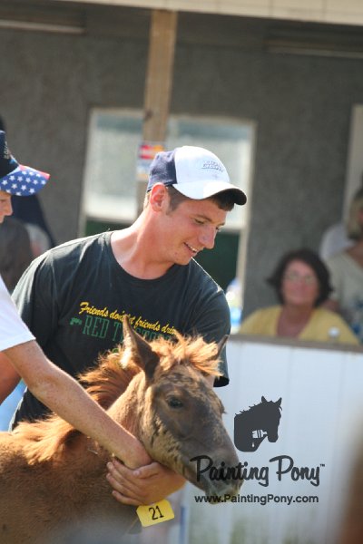 ponypenning_072811_0450.JPG
